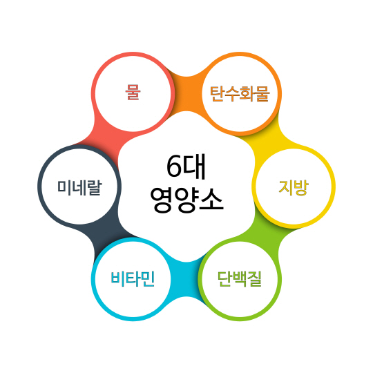 6대 영양소 사진