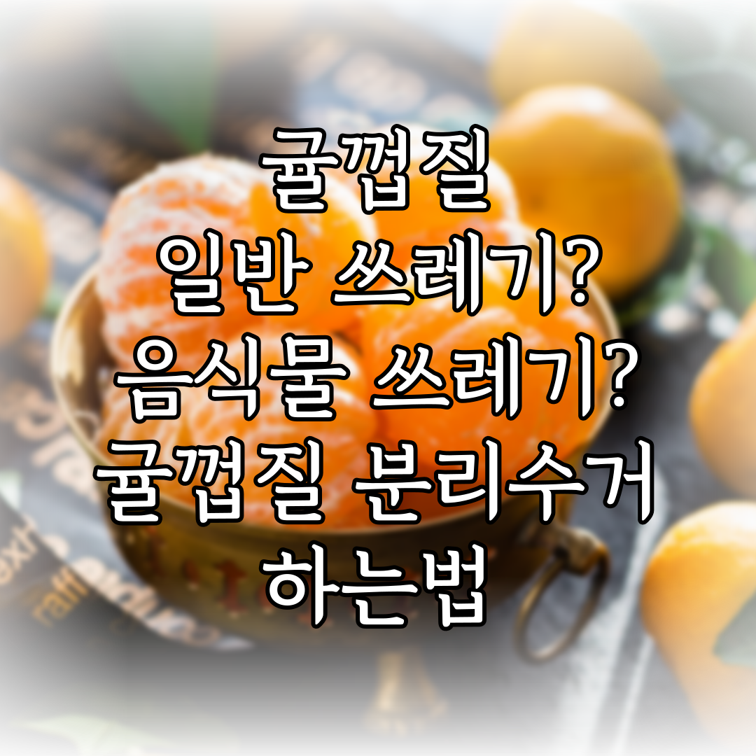 귤껍질 일반 쓰레기? 음식물 쓰레기? 귤껍질 분리수거 하는법 특성 이미지