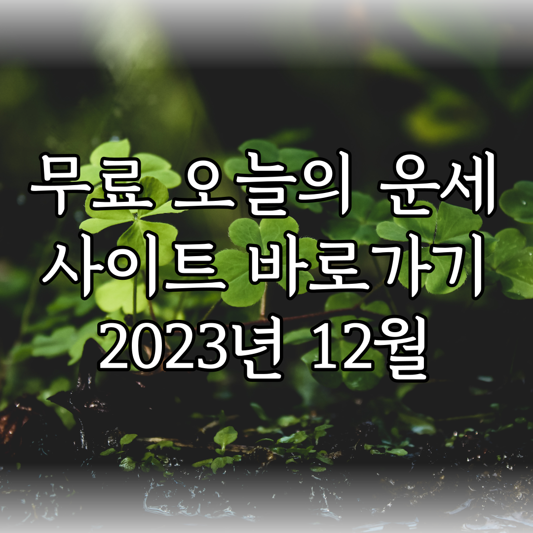 무료 오늘의 운세 사이트 바로가기 특성 이미지