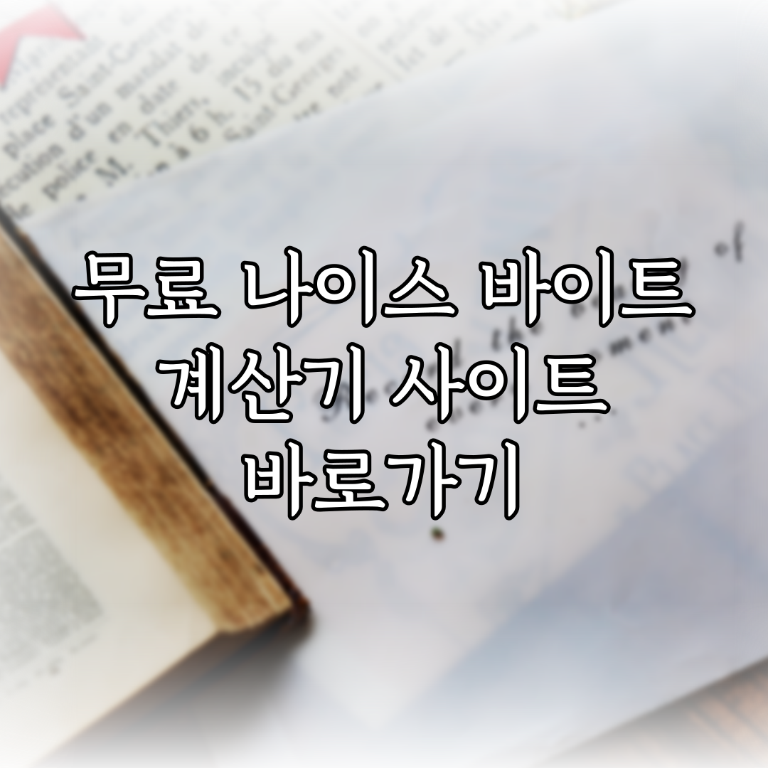 무료 나이스 바이트 계산기 사이트 바로가기 (2024년 01월) 특성 이미지