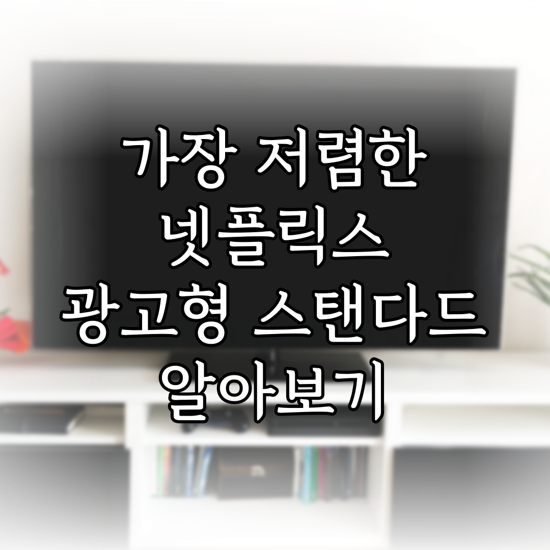 가장 저렴한 넷플릭스 광고형 스탠다드 알아보기 특성 이미지