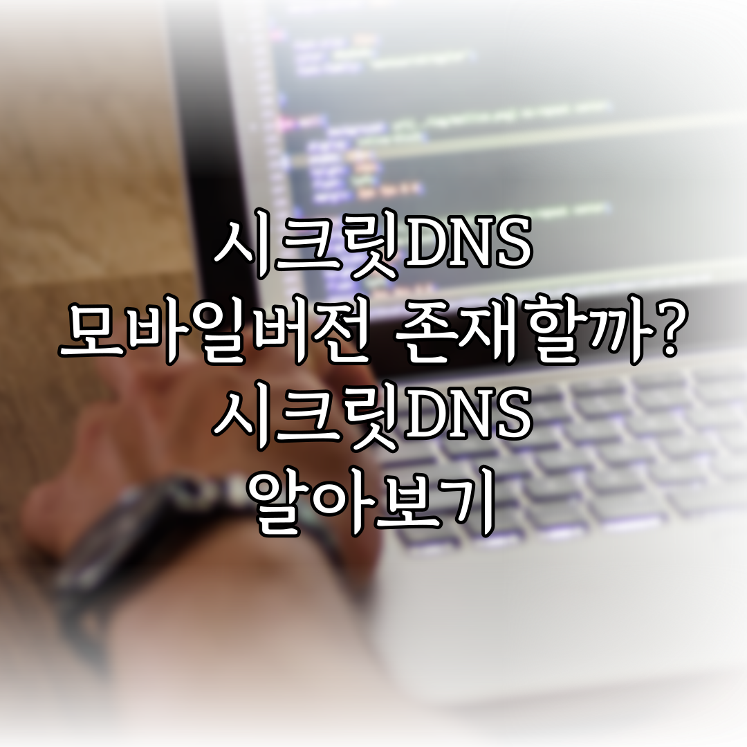 시크릿DNS 모바일버전 존재할까? 시크릿DNS 알아보기 특성 이미지