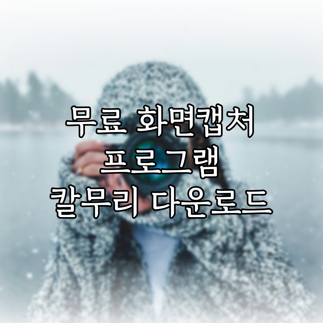 무료 화면캡처 프로그램 칼무리 다운로드 특성 이미지