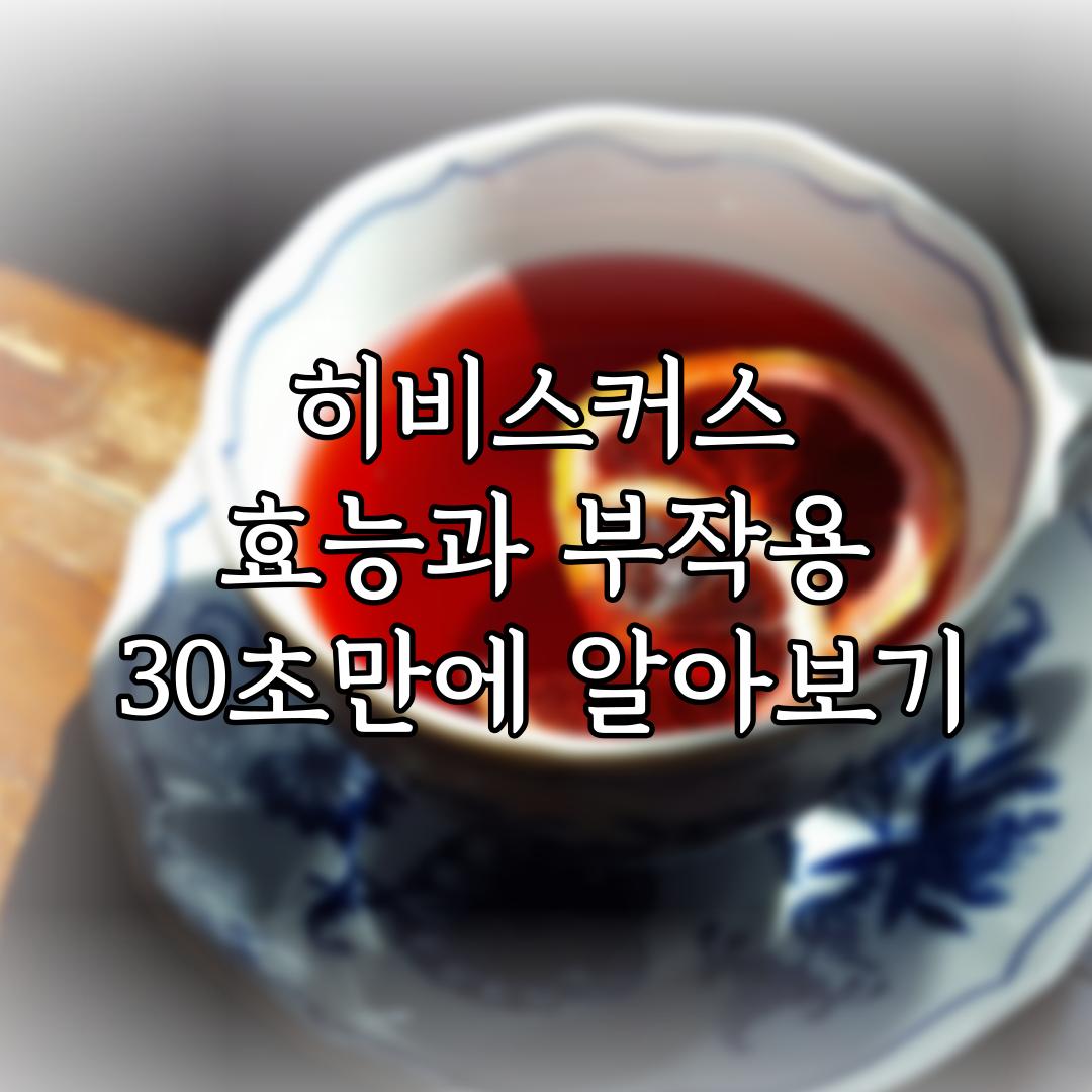 히비스커스 효능과 부작용 30초만에 알아보기 특성 이미지