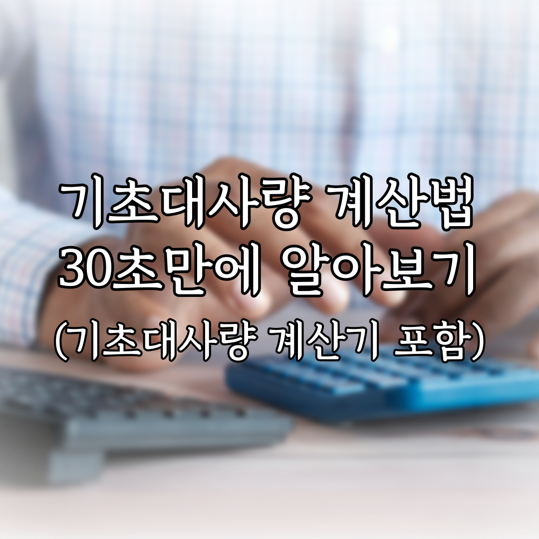 기초대사량 계산법 30초만에 알아보기 (기초대사량 계산기 포함) 특성 이미지