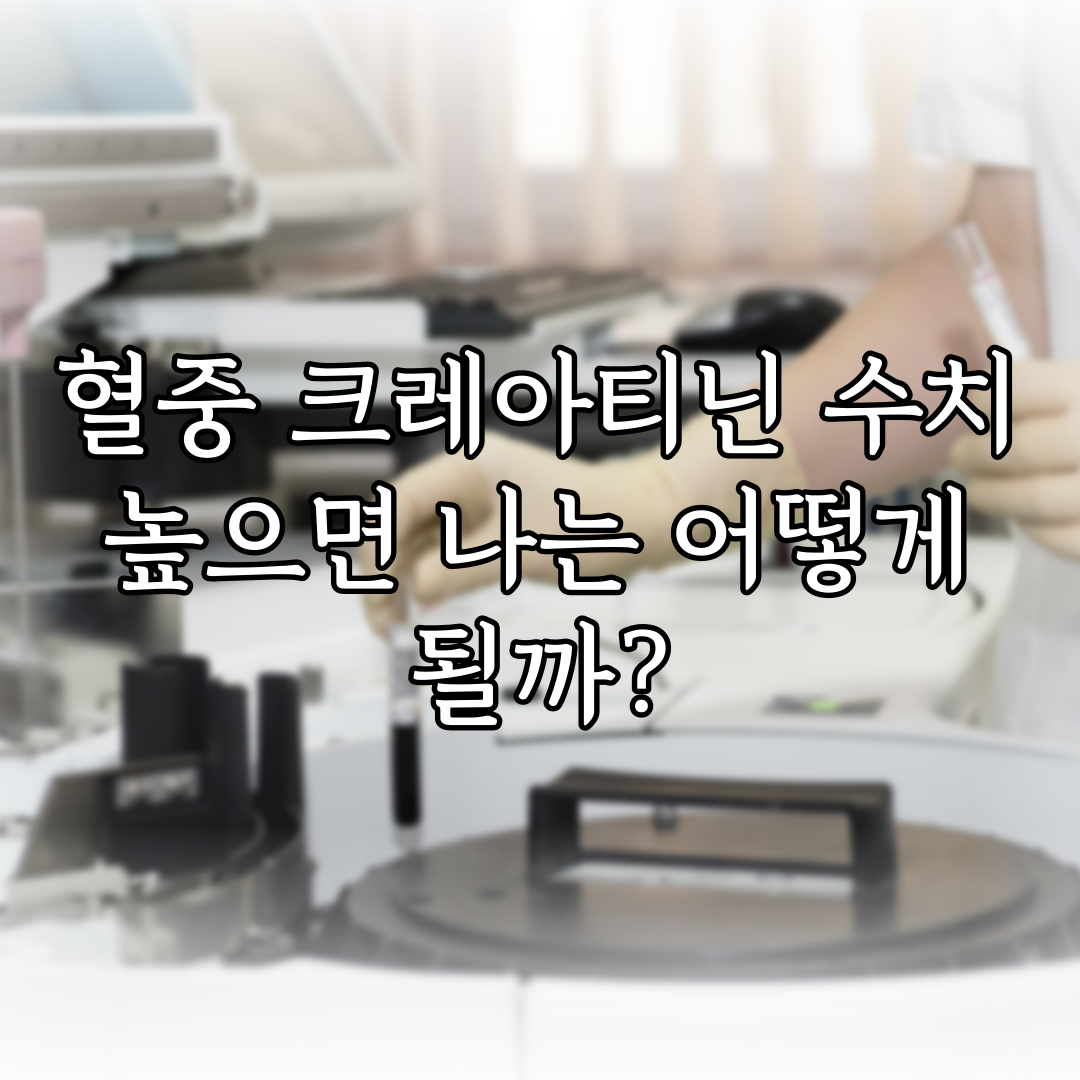 혈중 크레아티닌 수치 높으면 나는 어떻게 될까? 특성 이미지