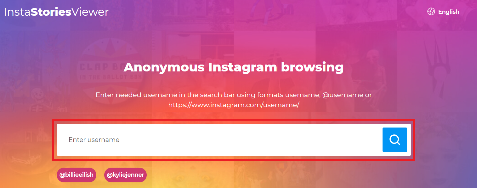 InstaStoriesViewer 사이트 사진
