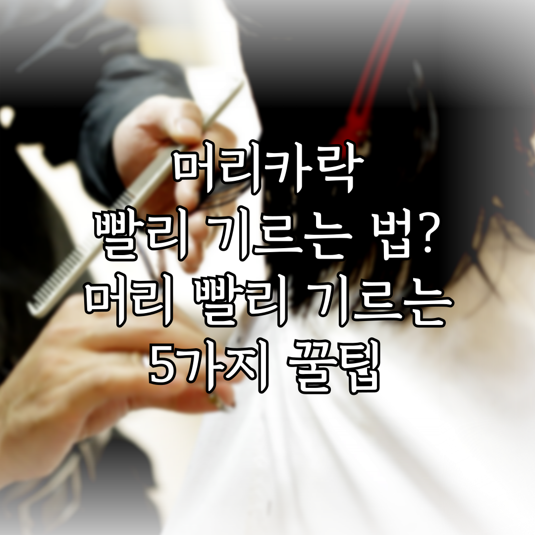 머리카락 빨리 기르는 법? 머리 빨리 기르는 5가지 꿀팁 특성 이미지