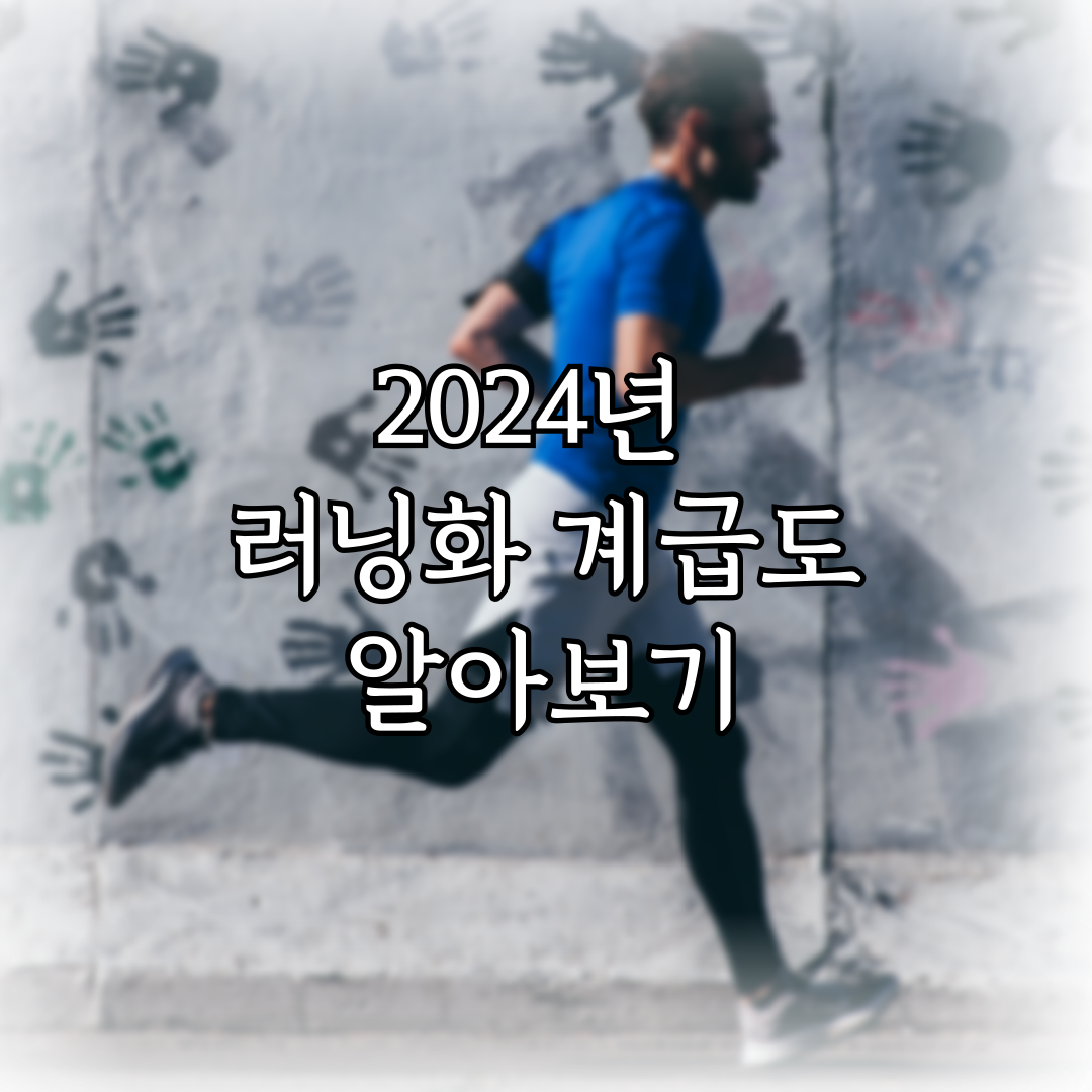 2024년 러닝화 계급도 알아보기 특성 이미지