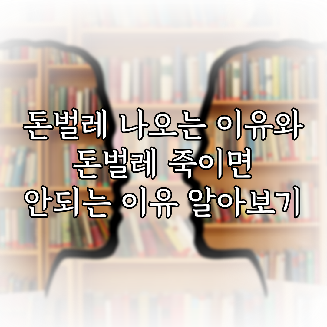돈벌레 나오는 이유와 돈벌레 죽이면 안되는 이유 알아보기 특성 이미지