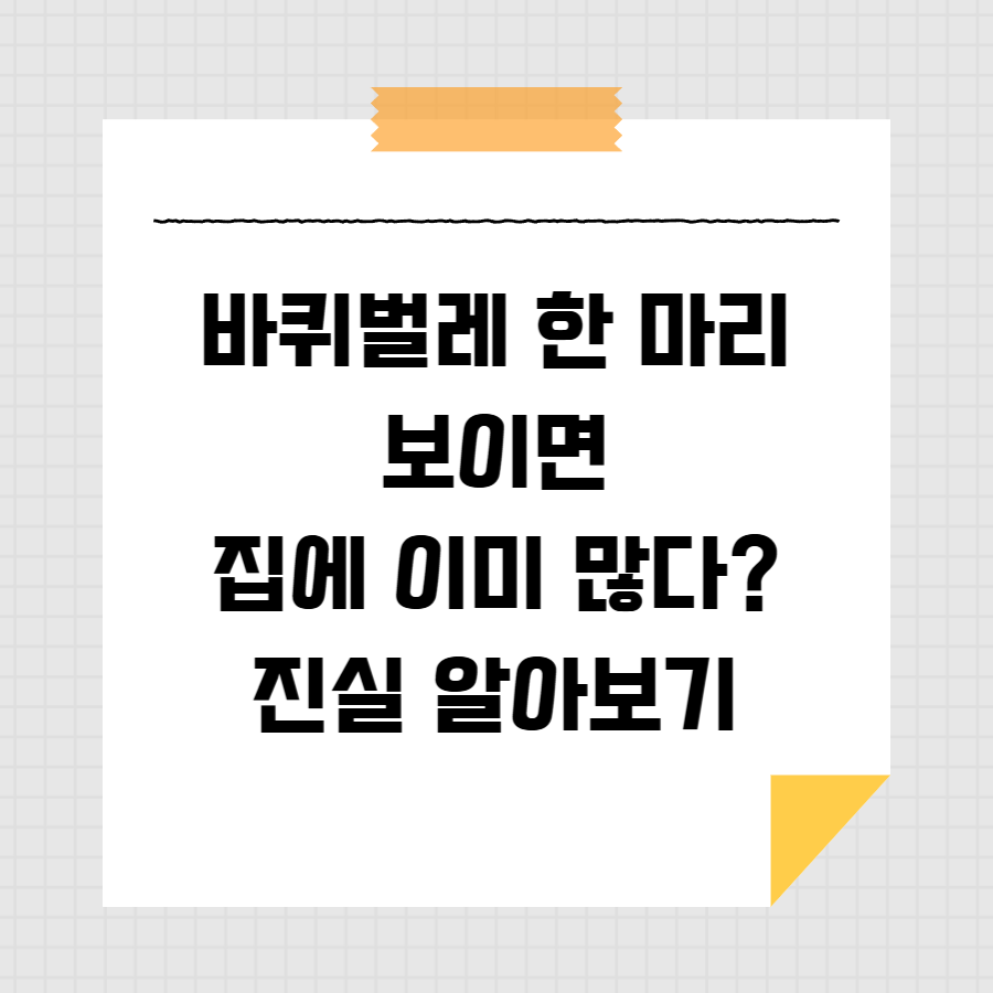 바퀴벌레 한 마리 보이면 집에 이미 많다? 진실 알아보기 썸네일
